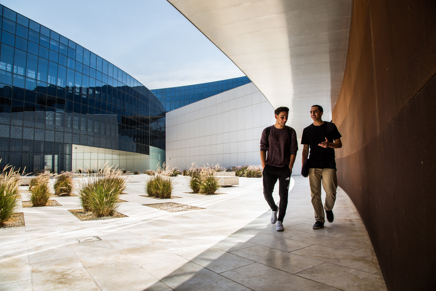 Undergraduate Admissions Northwestern University in Qatar
